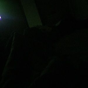 Meet your Posher, Bradlee